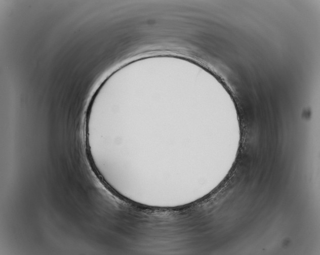 X0000098001516200804211117