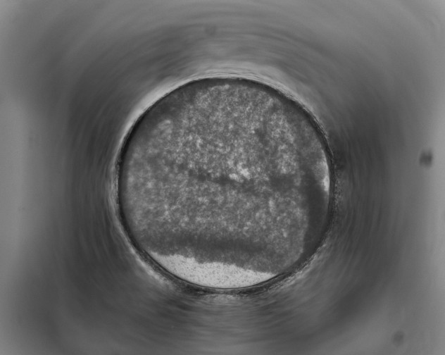 X0000098001517200804211117