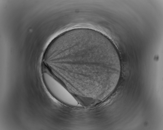X0000098001519200804211117