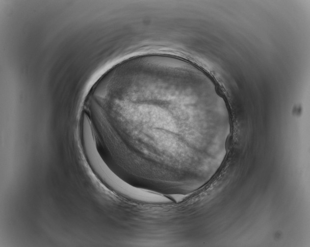 X0000098001520200804211117