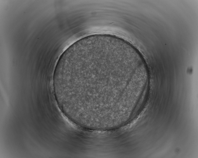 X0000098001521200804211117