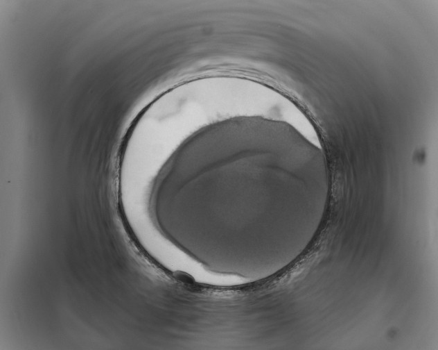 X0000098001522200804211117