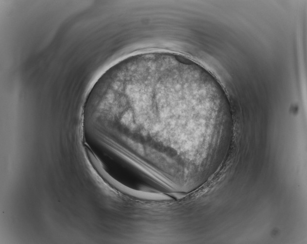 X0000098001524200804211117