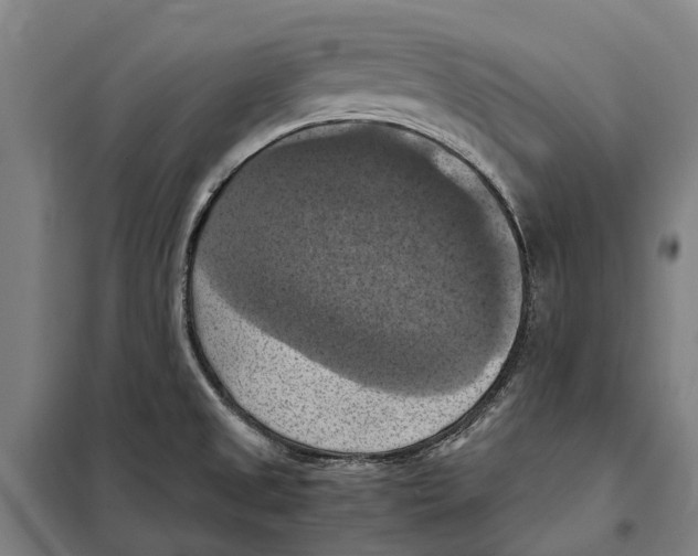 X0000098001525200804211117