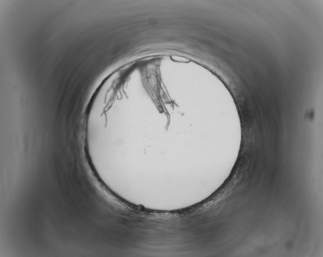 X0000098001526200804211117