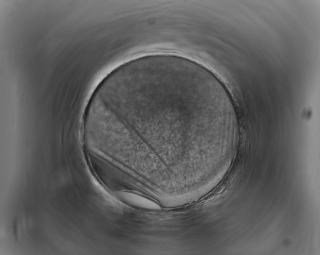 X0000098001527200804211117