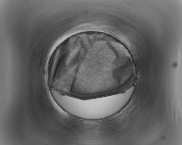 X0000098001528200804211117