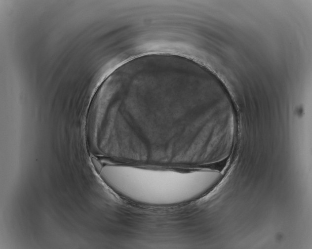 X0000098001529200804211117