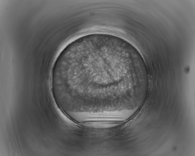 X0000098001531200804211117