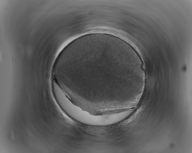 X0000098001533200804211117