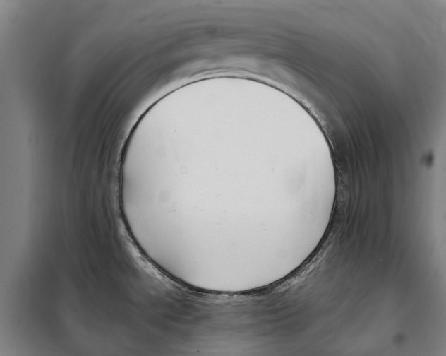 X0000098001534200804211117