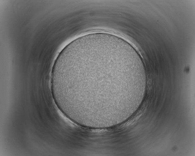 X0000098001535200804211118