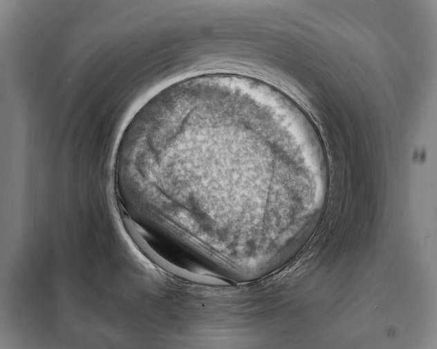 X0000098001536200804211118