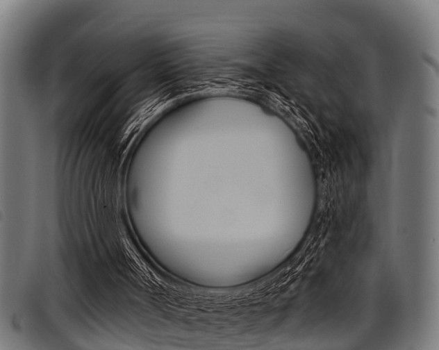X0000098010002200803280741
