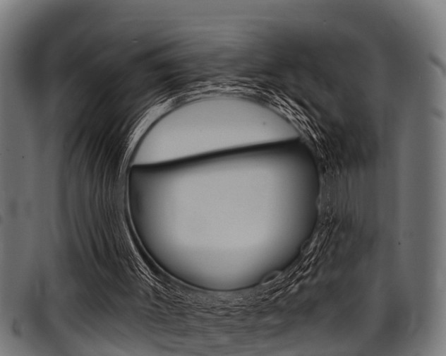 X0000098010003200803280741