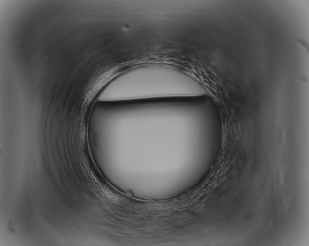 X0000098010005200803280741