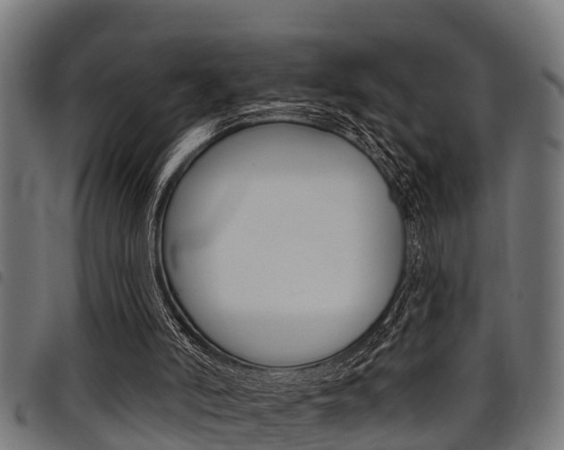 X0000098010006200803280741