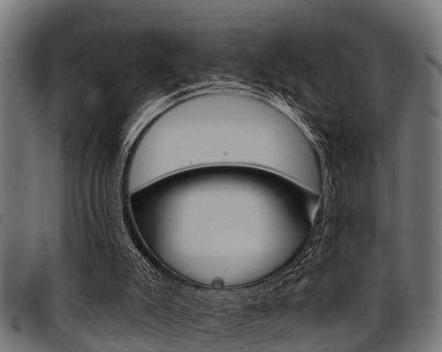 X0000098010007200803280741