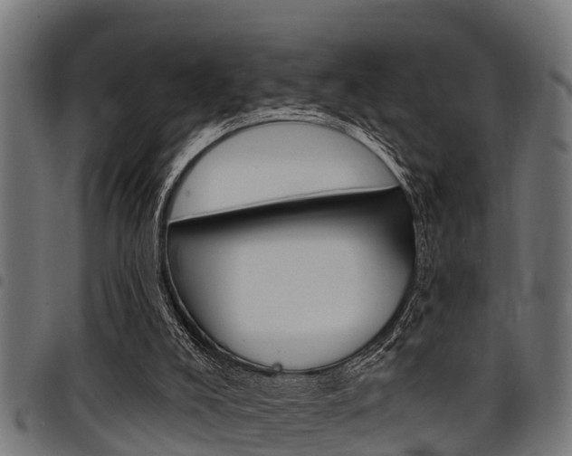 X0000098010008200803280741