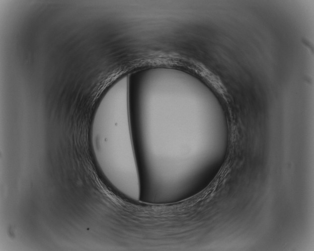 X0000098010009200803280741