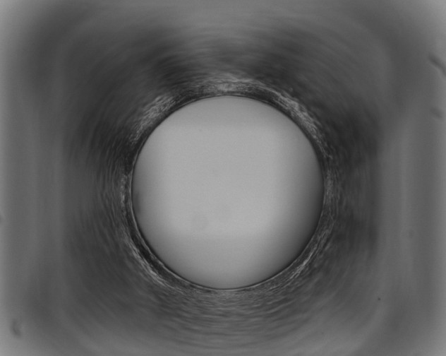 X0000098010010200803280741