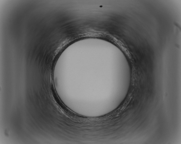 X0000098010011200803280741