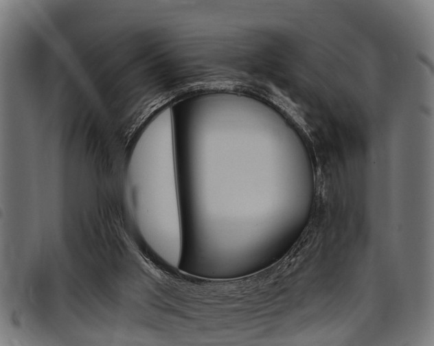 X0000098010013200803280741