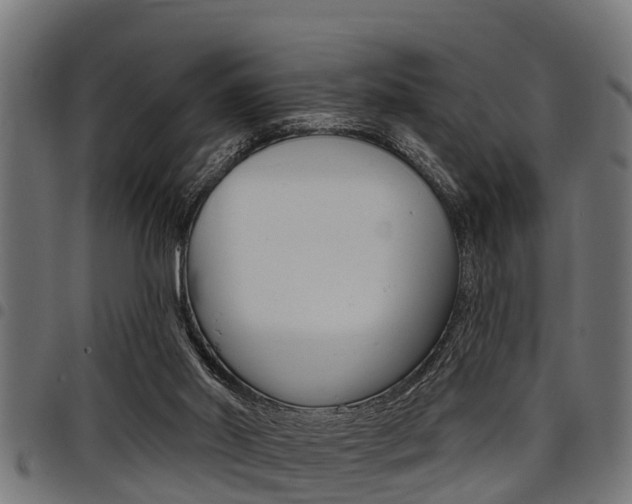 X0000098010014200803280741