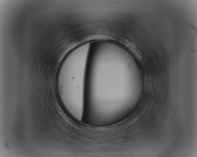 X0000098010015200803280741