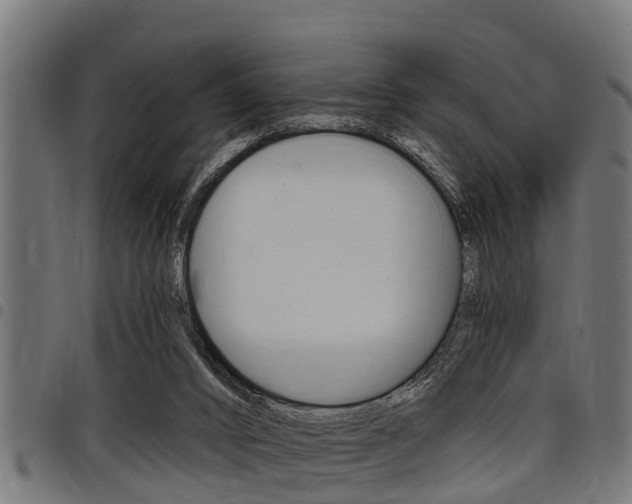 X0000098010016200803280741