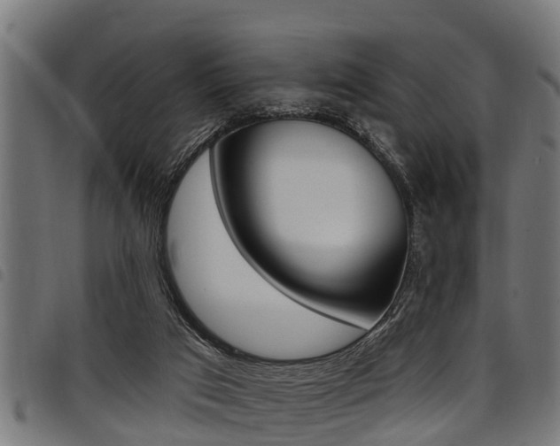 X0000098010017200803280741
