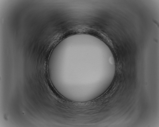 X0000098010018200803280741