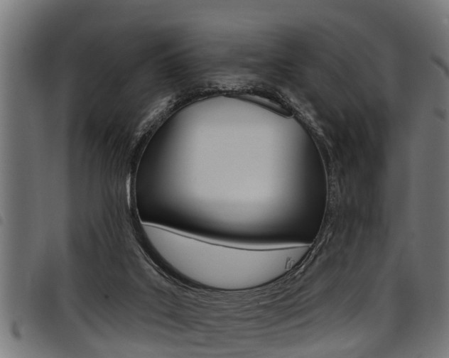 X0000098010019200803280741