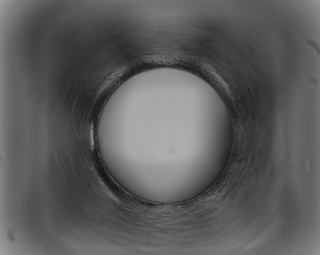 X0000098010020200803280741