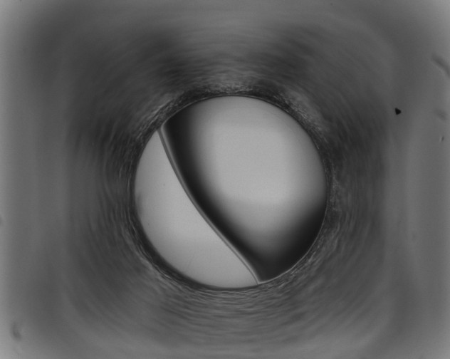 X0000098010021200803280741
