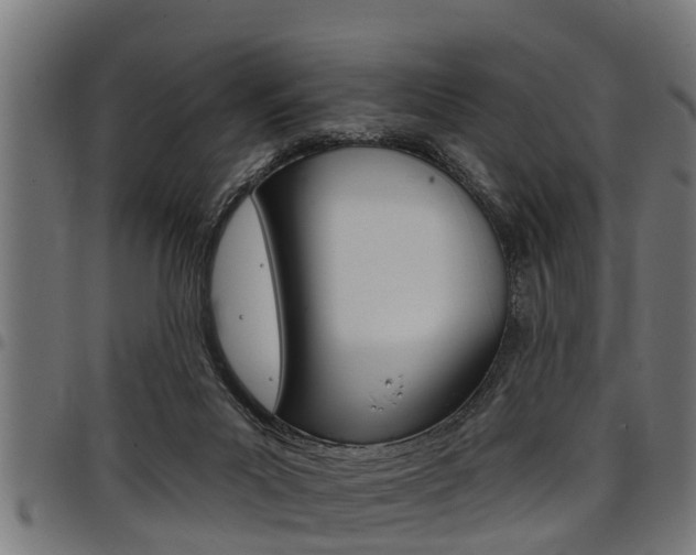 X0000098010023200803280741