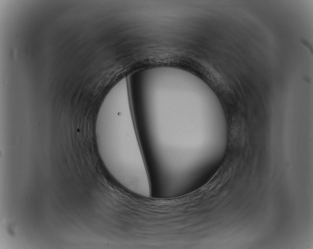 X0000098010025200803280741