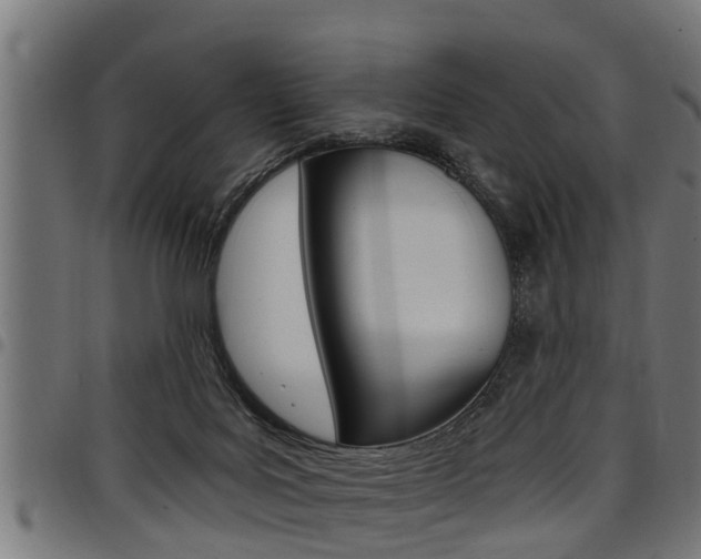 X0000098010027200803280741