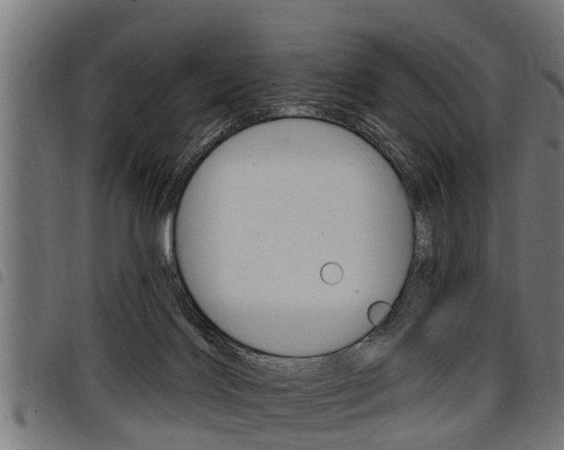 X0000098010028200803280741