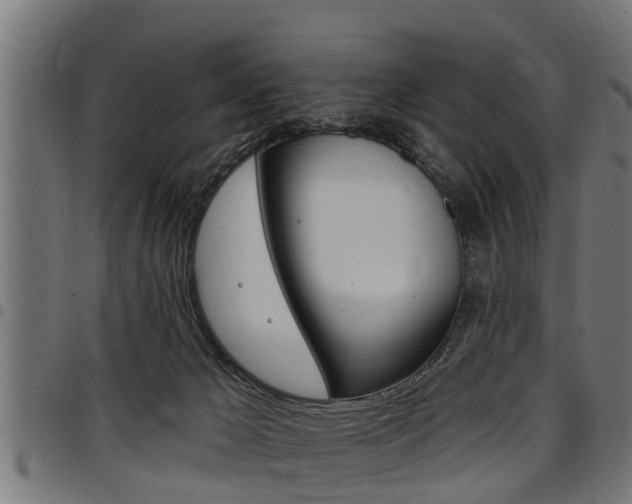 X0000098010029200803280741