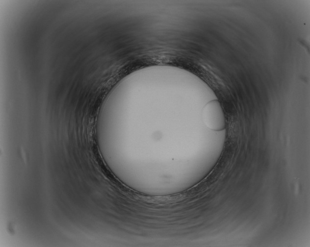 X0000098010030200803280741