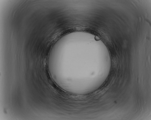 X0000098010032200803280741