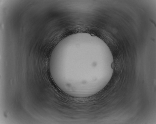 X0000098010034200803280741