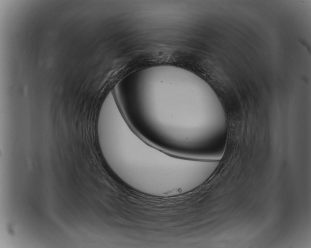 X0000098010035200803280741