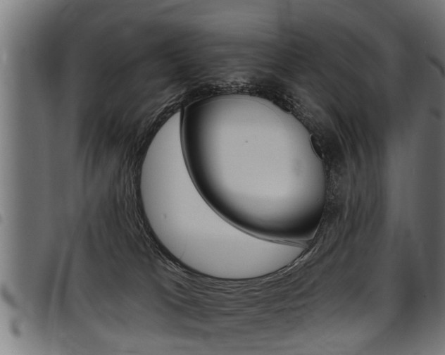 X0000098010037200803280741