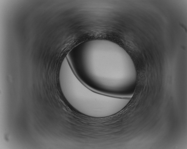 X0000098010039200803280741