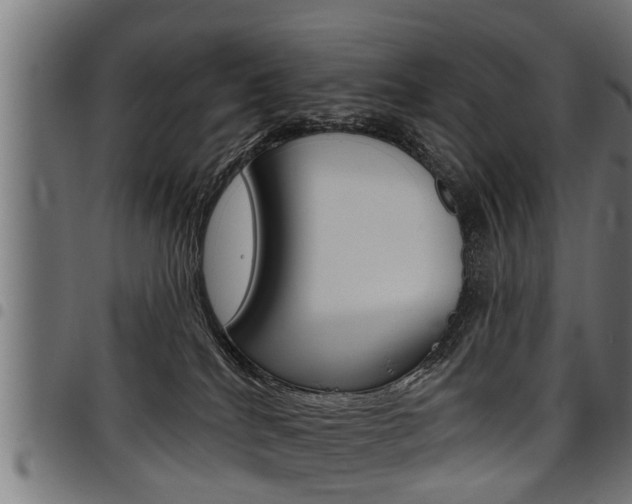 X0000098010040200803280741