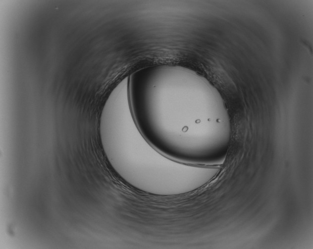 X0000098010041200803280741