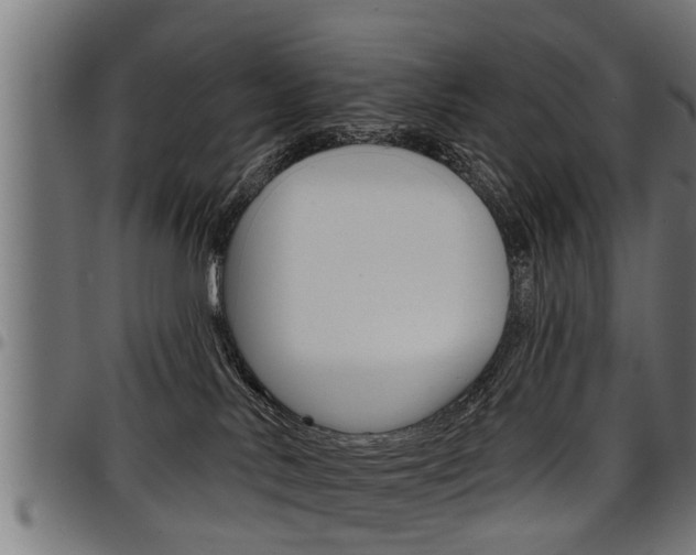 X0000098010042200803280741