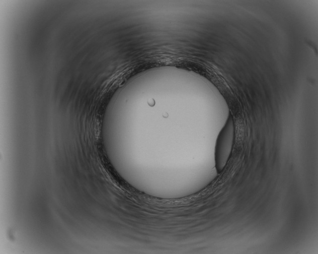 X0000098010043200803280740